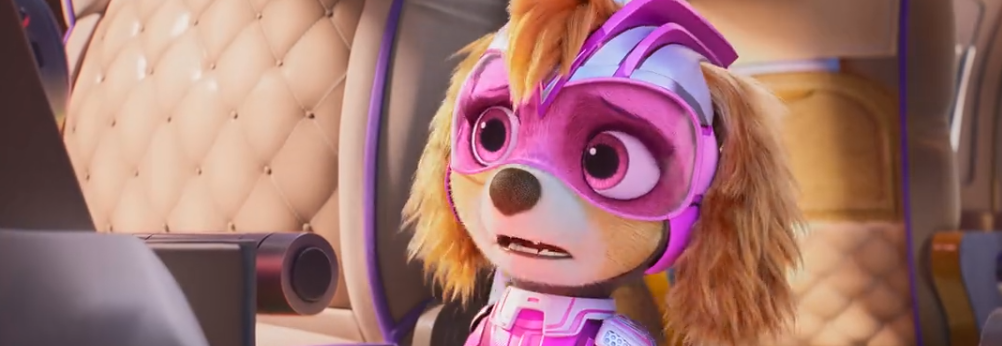 paw patrol